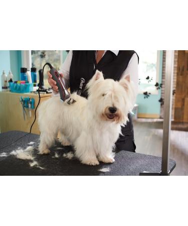 Oster A6 Cool Comfort Heavy Duty Clipper with Detachable Blade #10 - Aqua Sky - Buy Online on GoSupps.com