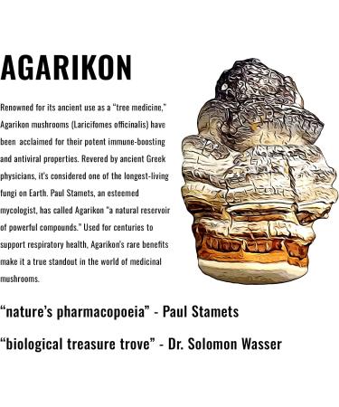 Power-Ups Mushroom Gummies Nootropic Adaptogenic with Agarikon, Mango & Lime Flavor, Vegan, Gluten-Free, Sugar-Free, Non-GMO, 10x Mushrooms, Focus, Energy, Mental Clarity, Lion's Mane, Reishi, Chaga - Buy Online on GoSupps.com