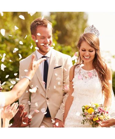 Crystal Quinceanera Crown Princess Tiara - Rose Gold Wedding Birthday Decoration for Women and Girls - Buy Online on GoSupps.com