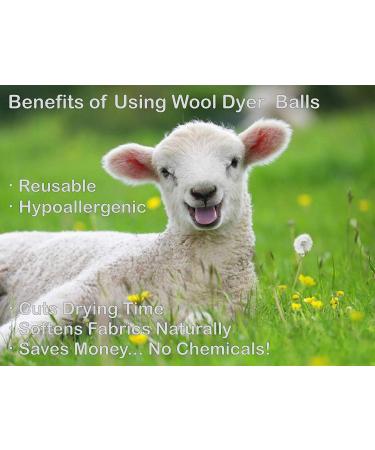 Buy Eco-Friendly Wool Dryer Balls (4 Pack) - XL Natural Fabric Softener & Static Guard - 100% New Zealand Wool - Buy Online on GoSupps.com
