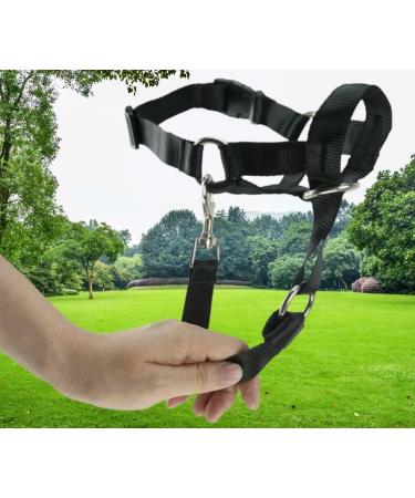 Voarge Dog Muzzle Head Halter Collar for Large Dogs (XXL) | Adjustable & Safety Strap for Easy Control | Small, Medium & Large Breeds - Buy Online on GoSupps.com