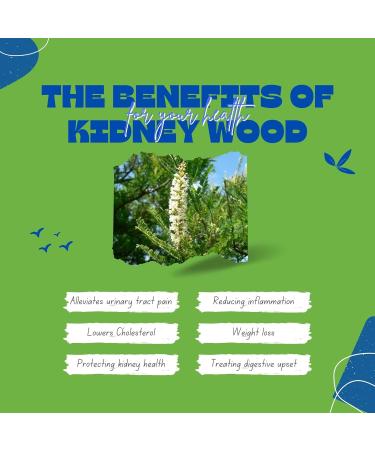 Tu Salud Plus Palo Azul 1lb - Kidney Wood Tea - Cyclolepis Genistoides - Blue Stick Herbal Detox - Buy Online on GoSupps.com