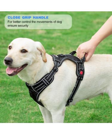 tobeDRI No Pull Dog Harness & Leash Set - Adjustable Reflective Oxford, Easy Control for Medium & Large Dogs - Blue - Buy Online on GoSupps.com