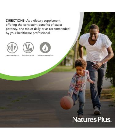 NaturesPlus Herbal Actives Ginkgo Biloba Extended Release - 60 Tablets - Vegetarian Gluten Free - 60 Servings - Buy Online on GoSupps.com