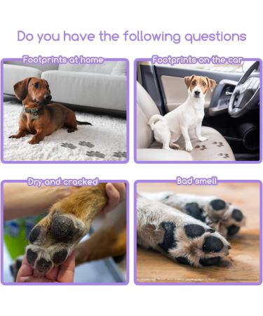 Nobleza Dry Foam Shampoo for Dogs Cats & Rabbits - Lavender 250ml | Ideal After Walks & Before Bed for Kittens & Puppies - Buy Online on GoSupps.com