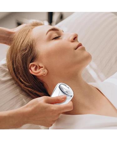 Manual Face Roller Guasha Face Roller - Metal Face Sculpting Tool | Beauty Roller for Women Facial Firming Tool for Neck Chin Eyes Cheekbones and Brake Silver Scraper Board + Silver Roller - Buy Online on GoSupps.com