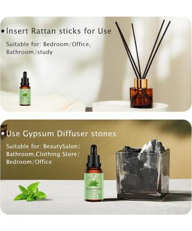 Peppermint Essential Oil 100% Pure Natural Steam Distilled 1 Fl Oz Premium Grade for Aromatherapy Diffusers Humidifiers (Peppermint) - Buy Online on GoSupps.com
