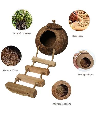 Tfwadmx Coconut Hide with Ladder - Natural Fiber Hanging Birdhouse Cage for Parrot, Parakeet, Lovebird, Finch, Canary - 2 Pcs - Buy Online on GoSupps.com