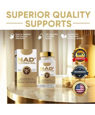Phyzen NAD+ Supplement 500mg with Resveratrol Premium Formula Supports Cellular Health DNA Repair Energy Boost & Anti-Aging High Absorption 120 Vegan Capsules 0A - Buy Online on GoSupps.com