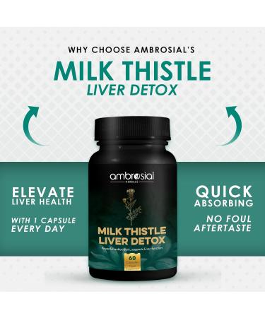 AMBROSIAL Milk Thistle Capsules - Pack of 1-60 Capsules 60 Count (Pack of 1) - Buy Online on GoSupps.com