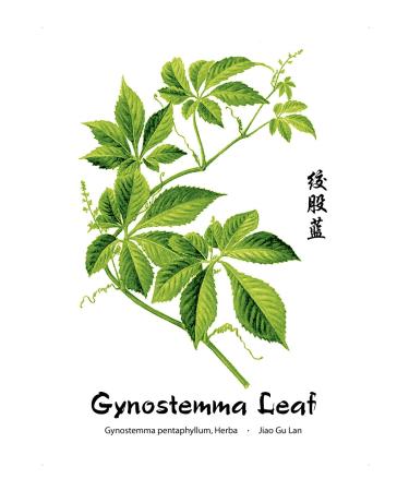 Dragon Herbs Spring Dragon Longevity Tea - Caffeine Free, 20 Tea Bags (1.8 oz) - Buy Online on GoSupps.com