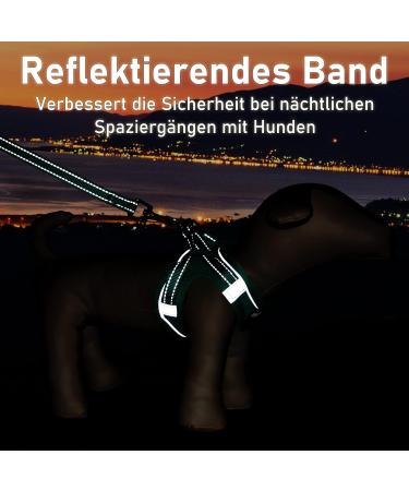 Shop Green Padded Dog Harness for Small Dogs | Comfortable Puppy Harness - International Shipping Available - Buy Online on GoSupps.com