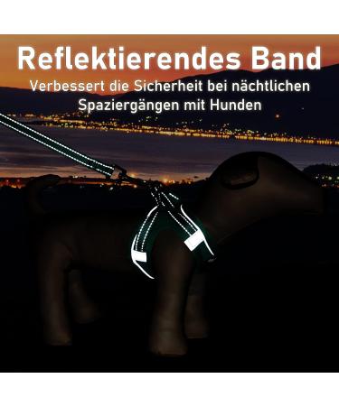 Dog Harness for Small Dogs - Green Padded Puppy Harness | XXS XXS - Comfortable & Adjustable - Buy Online on GoSupps.com