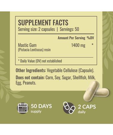 HERBAMAMA Mastic Gum and Inulin Kit - Bundle of Mastic Gum Capsules & Inulin Fiber Capsules - Vegan Non-GMO Gelatin-Free - 2 Pack - Buy Online on GoSupps.com