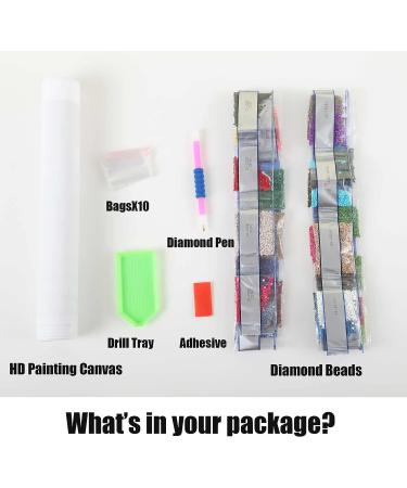 Christian Church 5D Diamond Painting Kit for Adults - DIY Full Round Drill Landscape Gem Art Scenery - 12x16 Inch Home Wall Decor - Buy Online on GoSupps.com