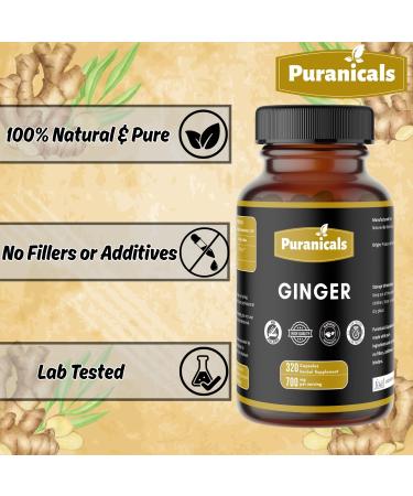 Ginger Premium 320 Capsules Non GMO and Gluten Free | Herbal Supplement | 700 mg Per Serving | Made with 100% Pure Ginger Root Powder Ginger Capsules 320 Count (Pack of 1) - Buy Online on GoSupps.com