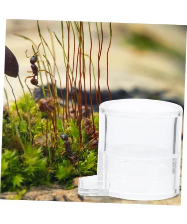 BESPORTBLE 2pcs Ant Water Feeder Acrylic Ant Feeders Professional Ants Feeder Tortoise Water Dish Transparent - Buy Online on GoSupps.com