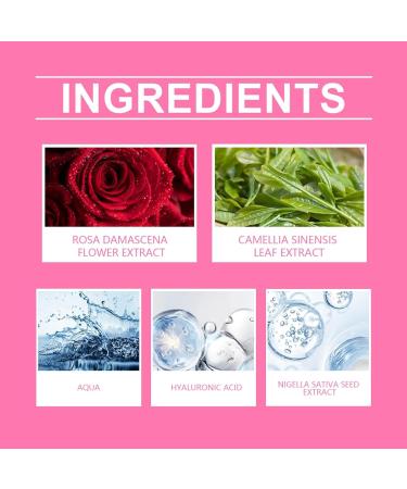 Organic Smoothing Day Cream Wild Rose & White Tea - Natural Cosmetics Natural Aging Face Cream With Age Protect Complex Reduces First Wrinkles Smoothing Day Cream Rosehip & White Tea (1) - Buy Online on GoSupps.com