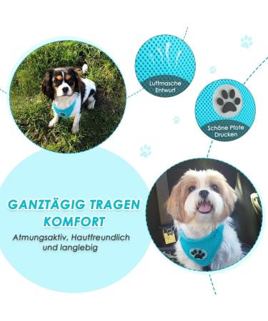 Buy Slowton Dog Harness with Seat Belt Breathable & Secure Car Safety for Dogs - Light Blue Medium - International Shipping Available - Buy Online on GoSupps.com