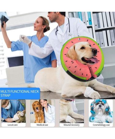 Ducomi Inflatable Dog & Cat Hinges - Post-Operative Relaxation Movement Freedom & Scratch Protection - Watermelon S - Buy Online on GoSupps.com
