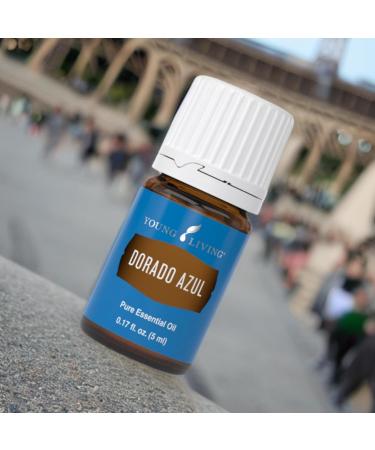 Dorado Azul Essential Oil 5ml by Young Living Essential Oils - Buy Online on GoSupps.com