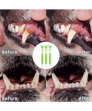 KTL 3 Pcs Dog Toothbrush Three Heads Toothbrush for Pet Teeth Care - Buy Online on GoSupps.com