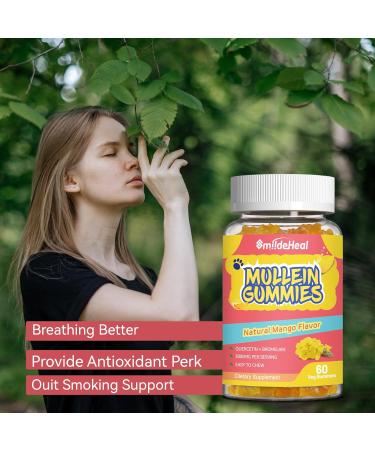 Mullein Gummies 3000MG Sugar Free Mullein Gummies with Bromelain & Quercetin Mullein Leaf Extract Supplements for Lungs Vegan 60 Count 60 Count (Pack of 1) - Buy Online on GoSupps.com