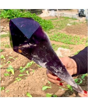 Natural Crystal Rough Natural Amethyst Scepter Specimen 1pc (Size : 1500-1600g) - Buy Online on GoSupps.com