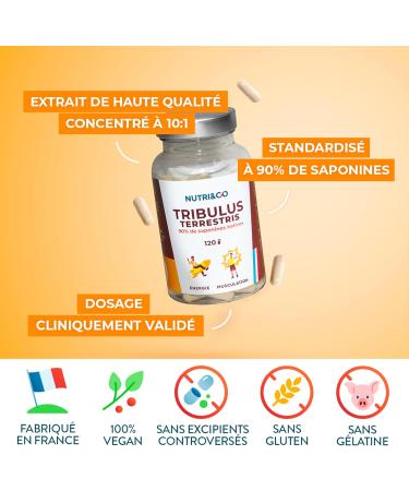 NUTRI & CO Tribulus Terrestris - 90% Saponins - 100% Natural Concentrated Extract 10:1 - Endurance Energy Muscle Growth & Heart Health - 120 Vegan Capsules - Made in France - Buy Online on GoSupps.com