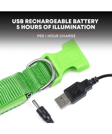 Illumiseen LED Dog Collar USB Rechargeable - Neon Green Large (L) 19-24 - High Visibility Light for Night Walking - Buy Online on GoSupps.com