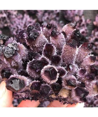 Hot Day Crystal Cluster Coffee Amethyst Processing from The Crystal Cluster FZUGEDRLI - Buy Online on GoSupps.com