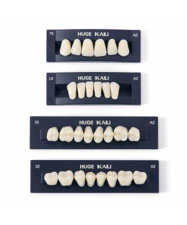 Dental Acrylic Resin Denture False Teeth Set | A2 T6 Synthetic Polymer Resin | Halloween DIY | 28 Pcs - Buy Online on GoSupps.com