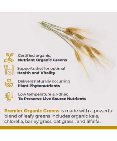 Premier Research Labs Premier Organic Greens - Super Greens Powder Greens Superfood Powder for Drinks Green Juice Nutrition Support Supergreens for Men & Women Spinach Alfalfa Chlorella - 10 oz - Buy Online on GoSupps.com