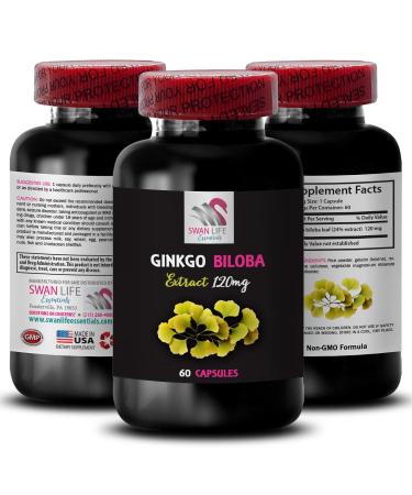 Ginkgo biloba Natural Supplement - Ginkgo BILOBA Extract - Botanical Extract Supplement Ginkgo biloba Extract Benefits Ginkgo antioxidant Benefits Plant-Based antioxidant 1 Bottle 60 Capsules