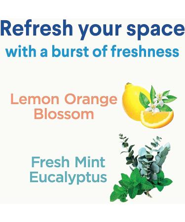 Clorox Disinfecting Mist Multisurface Cleaning Mist Lemongrass Mandarin Sanitizing Spray Bottle 2 x 16 oz trigger + (1) 16 oz refill Total 48oz - Buy Online on GoSupps.com