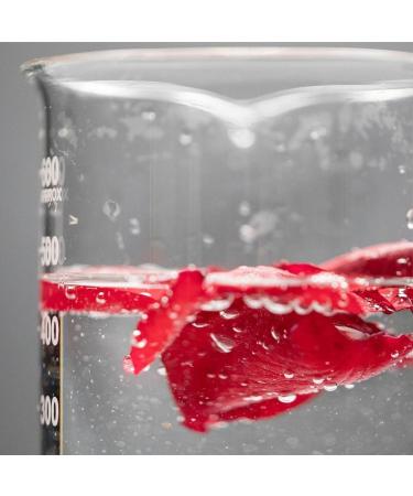 KORRES Wild Rose Skin Brightening Night Cream Hydrating Face Moisturizer with Vitamin C Hyaluronic Acid and Turmeric Extract Overnight Facial Cream for Women with Tired Depleted Skin 40 ml New Pink Packaging - Buy Online on GoSupps.com