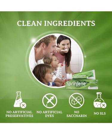SprinJene Fluoride Toothpaste with Black Seed Oil & Zinc - Vegan Cruelty-Free Natural Whitening (4 Pack) - International Shipping Available - Buy Online on GoSupps.com