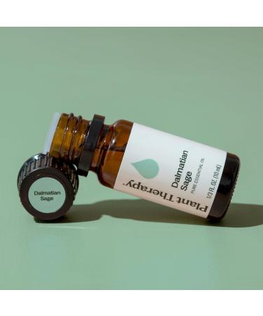 Plant Therapy Dalmatian Sage Essential Oil 10 mL (1/3 oz) 100% Pure Undiluted Therapeutic Grade Sage 0.34 Fl Oz (Pack of 1) - Buy Online on GoSupps.com