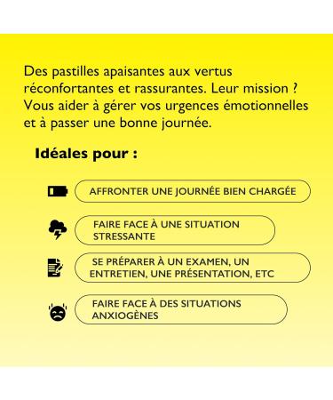 RESCUE - Pastilles go t Pomme Menthe - Bien- tre motionnel naturel - M lange de 5 Fleurs de Bach Original - Id al lors de d placement voyage stress du quotidien - Sans sucre - 50g (Lot de 2) - Buy Online on GoSupps.com