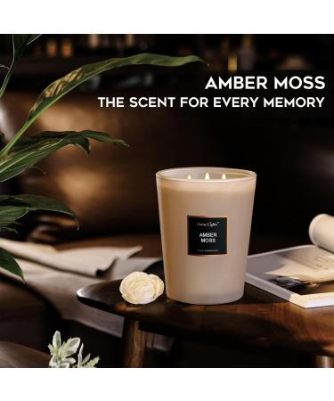 HomeLights Scented Candles | Large Jar Aromatherapy Natural Soy Wax 130 Hours Burn Time Perfect Gift - Amber Moss - Buy Online on GoSupps.com