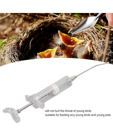 Buy Baby Bird Feeding Syringe Set - Manual Feeding Syringe with Probes & Stainless Steel Spoons for Parrots - International Shipping Available - Buy Online on GoSupps.com