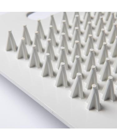 Champro Cleat Cleaner - White | Keep Your Cleats in Top Condition - Buy Online on GoSupps.com