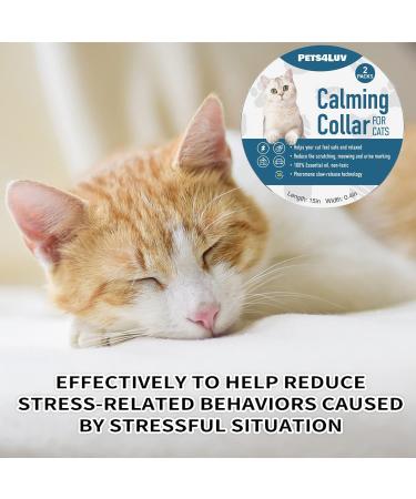 Pets4LUV 2 Pack Cat Pheromone Stress Relief - Adjustable Waterproof 100% Natural Purple - Buy Online on GoSupps.com