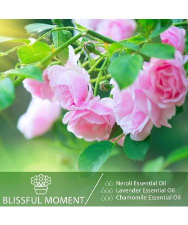 Premium Grade Neroli Essential Oil 30ML for Aromatherapy and Diffusers - 100% Pure Oils for Home | PHATOIL - Buy Online on GoSupps.com