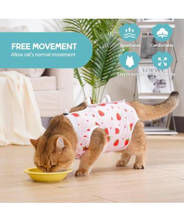 Buy Avont Cat Recovery Suit - 2 Pieces Abdominal Wound Protection Modal Spay Weaning Clothing Large Cherry/Strawberry Design International Shipping Available - Buy Online on GoSupps.com
