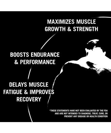 Animal Creatine XL Powder with PurpleForce & Senactiv - Enhanced Creatine Monohydrate Supplement for Endurance and Recovery - Watermelon Flavor - 9.84 oz - Buy Online on GoSupps.com