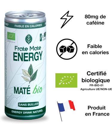  FRATE MATE Frat Mate Energy Drink Sport | Energy Drink Mate with Natural Caffeine (250ml Green Tea) - Buy Online on GoSupps.com