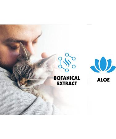 Petkin Kitty Eye Wipes - 40 Moist Wipes for Cats & Kittens - Gentle Eye Cleaning, Removes Dirt, Discharge & Tear Stains - Safe & Convenient Pet Wipes for Home or Travel - Buy Online on GoSupps.com