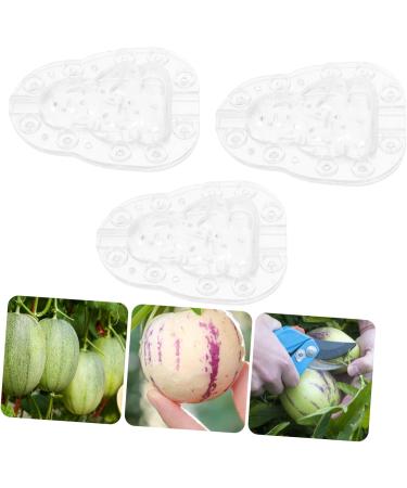 VINTORKY 3pcs Vegetable Mold Ginseng Creative Melon Fruit Accessory Forming Machine Gourd - Buy Online on GoSupps.com