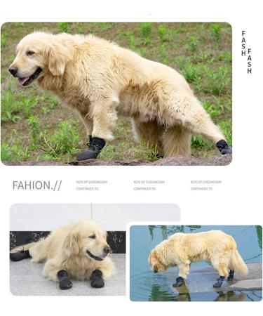 Buy Avaner 4-Piece Dog Socks - Lace-Up Waterproof Anti-Slip Shoes for Small & Medium Dogs | Durable Pet Foot Protection - Buy Online on GoSupps.com